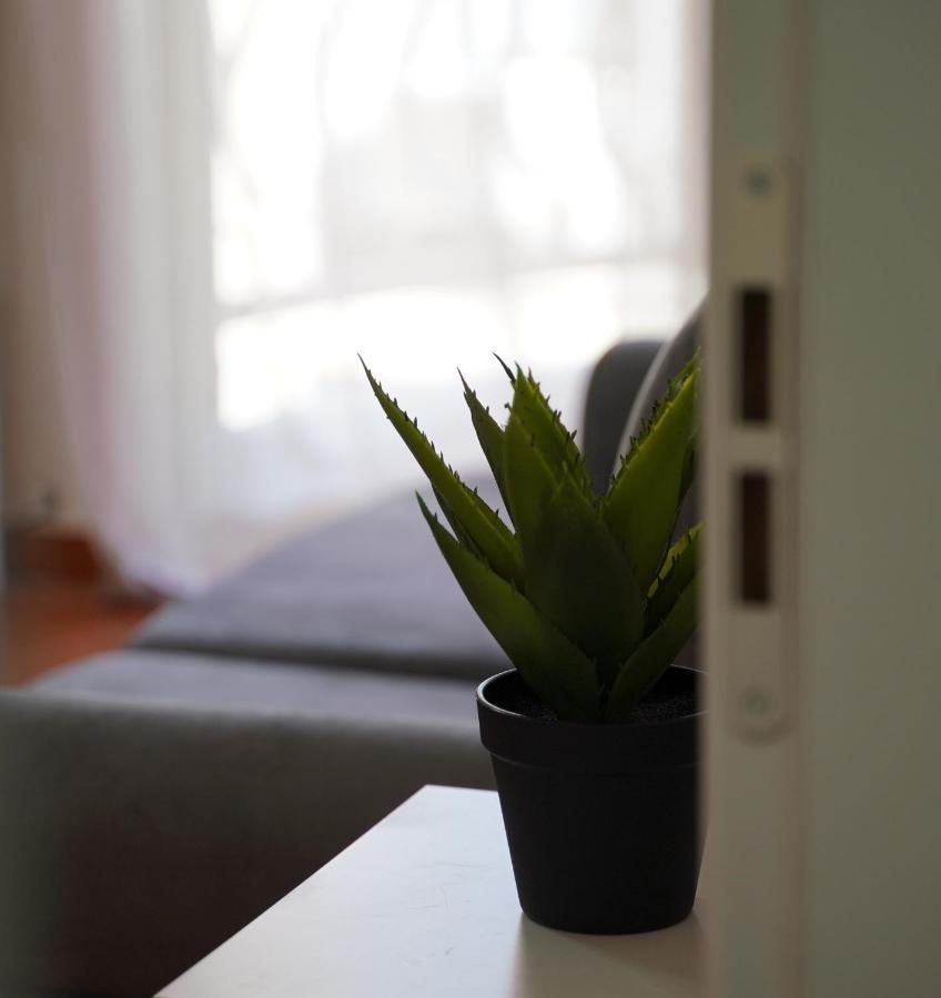 Stylish Apartment Near Tirana Center Zewnętrze zdjęcie